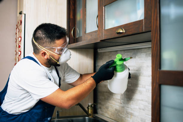 Best Pest Removal Services  in Howey In The Hills, FL