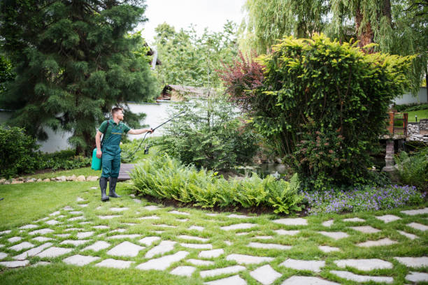 Best Mosquito Control Services  in Howey In The Hills, FL