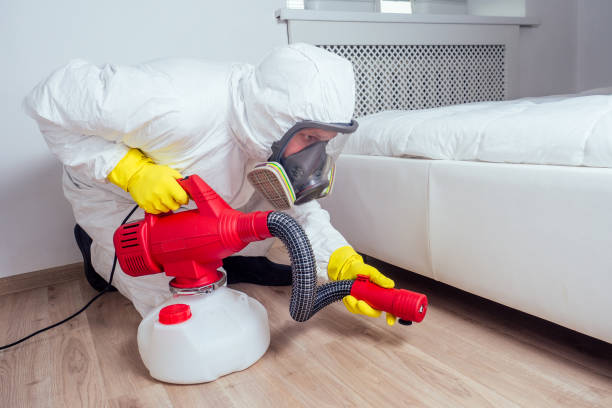 Best Flea Control Services  in Howey In The Hills, FL