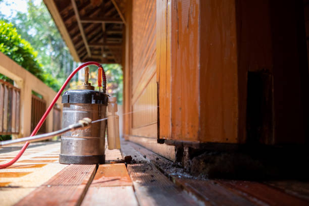 Best Cockroach Control Services  in Howey In The Hills, FL
