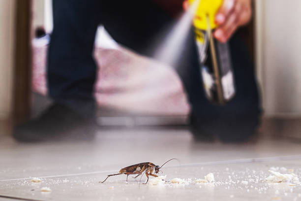 Best Best Pest Control Companies  in Howey In The Hills, FL