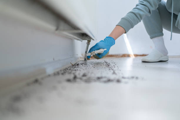 Trusted Howey In The Hills, FL Pest Control Experts